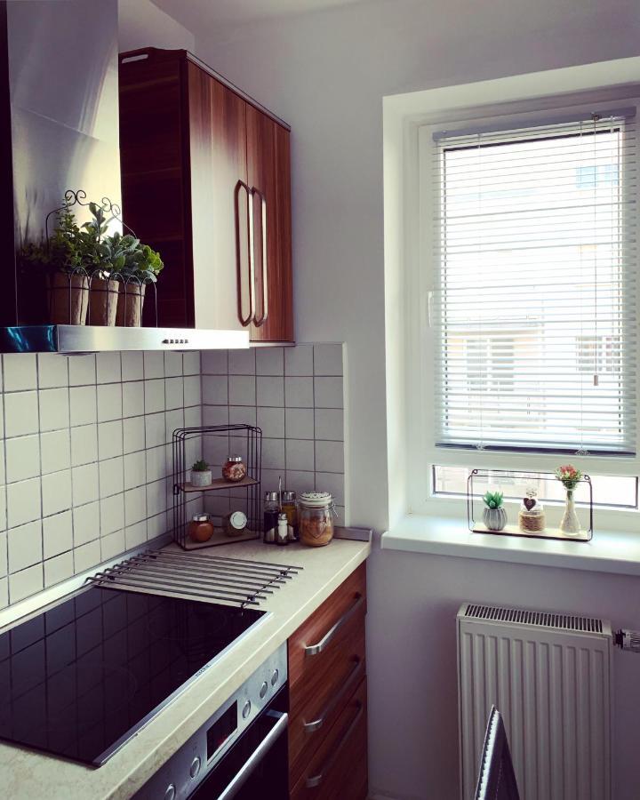 Modern Studio2 Lejlighed Braşov Eksteriør billede